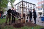 In Aktion: Thomas Seifert, Rektor Prof. Dr. Franz Häuser, Schirmherr Johannes Lichdi MdL und Bürgermeister Heiko Rosenthal (v.l.). Foto: Sven Jaros